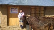 India News | Dairy Farming Brings Livelihood Opportunities in Remote Himachal's Sirmaur