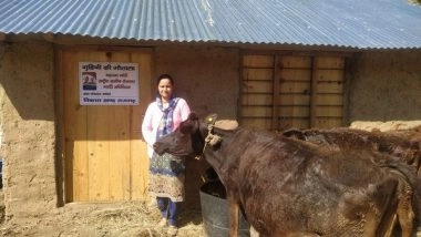 India News | Dairy Farming Brings Livelihood Opportunities in Remote Himachal's Sirmaur