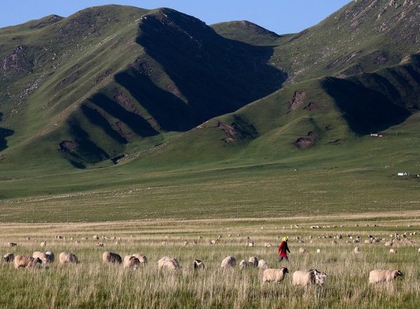 China Forcibly Seizes Tibetan Farmers’ Land To Build Hydropower Dam, Says Report