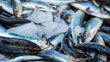 Science News | Study Finds Genomic Resources to Improve Fisheries' Climate Resilience