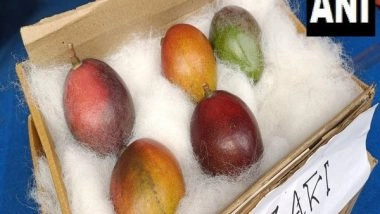 India News | West Bengal: World's Most Expensive Mango 'Miyazaki' Showcased in Siliguri Mango Festival