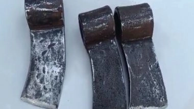 India News | Andhra Pradesh: 8 Red Sandalwood Smugglers Arrested in Bhakarapet