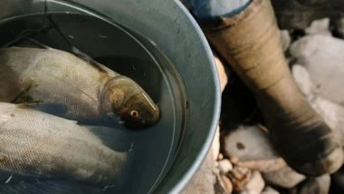 Science News | Genomic Resources to Improve Climate Resilience of Fish: Study