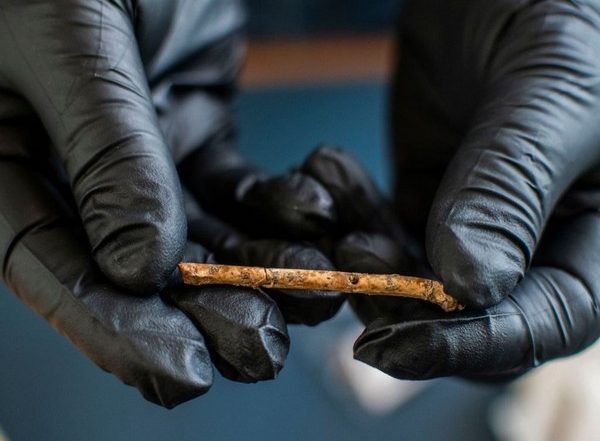 World News | 12,000-year-old Flutes Imitated Bird Calls, Say Archaeologists
