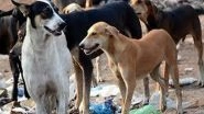 India News | Boy, 11, Dies in Suspected Stray Dog Attack in Kerala's Kannur