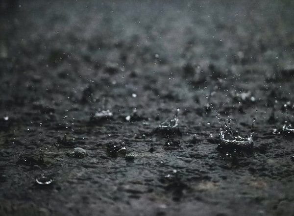 Science News | Study Finds Passive Processes to Treat Wastewater