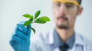 Environment News | A Novel Method Creates a Window for Studying the Transport and Distribution of Elements in Plants: Study