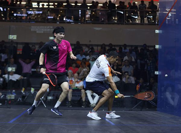 Squash World Cup 2023: India Top Pool B After Defeating Japan, Set Up Semi-final Clash With Malaysia