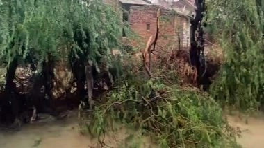 India News | Farmers in Kutch's Bhuj Suffer Huge Losses Due to Cyclone Biparjoy