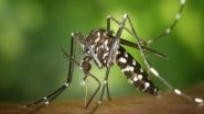 Science News | Study Finds Molecular Sensor That Allows Malaria Parasite to Cause Harm