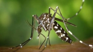 Science News | Study Finds Molecular Sensor That Allows Malaria Parasite to Cause Harm