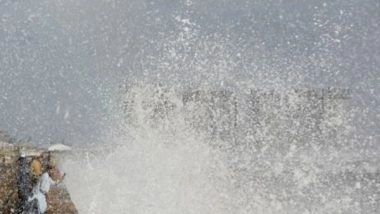 World News | As Cyclone Biparjoy Weakens, Pakistan Fishermen Allowed to Resume Activities