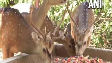India News | J-K: Udhampur's Tanday Park Makes Arrangements for Deers to Beat Heat
