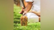 Business News | Why Yoga and Walnuts Are a Power-Packed Combination