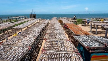 Science News | Biogas Can Be Produced by Fish Farms: Study