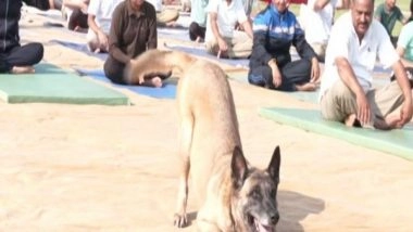 India News | International Yoga Day: Dog from ITBP Canine Squad 'performs Yoga' at J-K's Udhampur Event