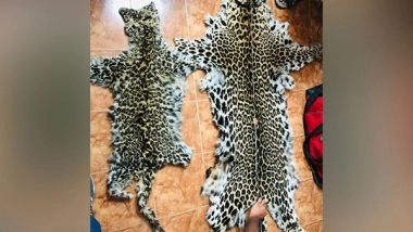 India News | DRI Detains 4 Persons with 2 Leopard Skins in Delhi: Officials