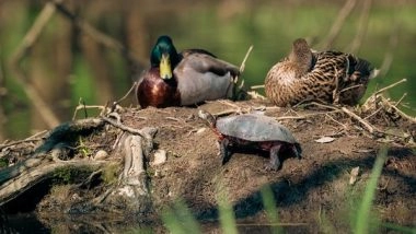 Science News | Study Dicovers Human Impact on Wildlife Even in Protected Areas