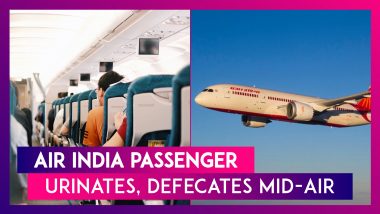 Air India Passenger Urinates, Defecates Mid-Air: Flyer On Mumbai-Delhi Flight Arrested