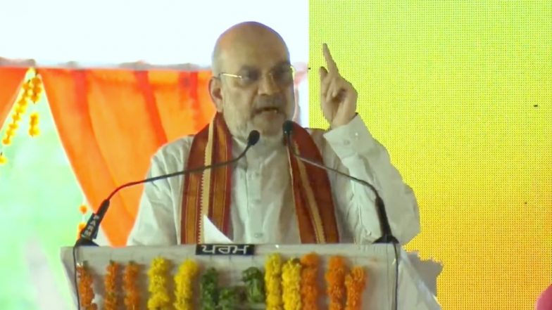 India Needs New Green Revolution to Show Path of Natural Farming to World, Says Union Home Minister Amit Shah