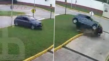 Argentina Driving Test Video: 63-Year-Old Woman Attempting Driving Test Crashes Vehicle Into Lamp-Post in Lanus