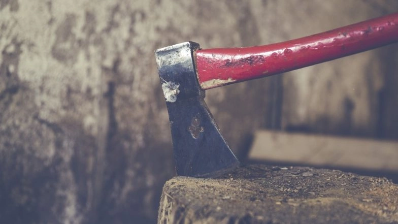 Gorakhpur Shocker: Ahead of Bhai Dooj, Two Brothers 'Avenge' Killing of Sister, Murder Man Who Killed Her With Acid for Rejecting Love Proposal