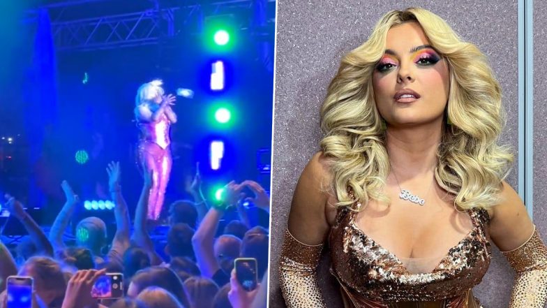 Bebe Rexha Gets Injured After a Concertgoer Throws Phone at Her Head During Performance (Watch Video)