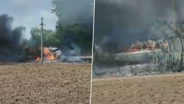 Gujarat Car Fire Video: Five Parked Cars Gutted After Massive Blaze Erupts in a Farm Near Sarangpur Temple in Botad