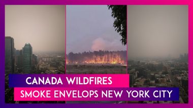 Canada Wildfires: Smoke Envelops New York City And Other Places Due To Forest Fire; Quebec Worst Hit