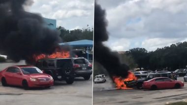 Car Fire in US Video: Parked SUV Bursts Into Flames at SeaWorld in Orlando, Terrifying Footage Surfaces Online