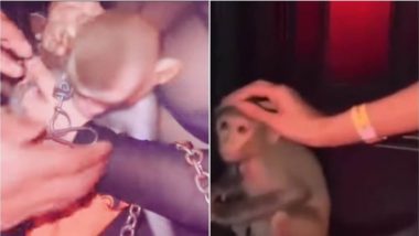 Kolkata Nightclub Toy Room Faces Criticism From Animal Lovers After Chained Monkey Video Goes Viral