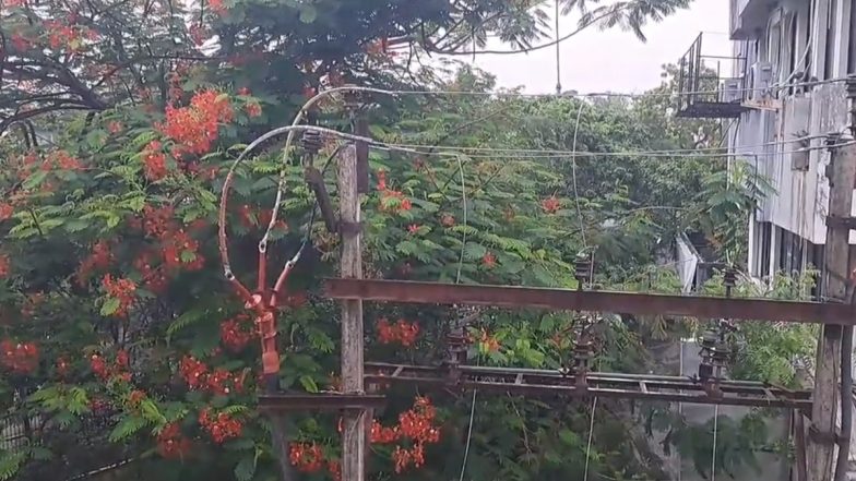 Chennai Rains Photos and Videos Today: Chennai Residents Wake Up to Rainy Morning, Express Joy Witnessing Cool and Chill Weather