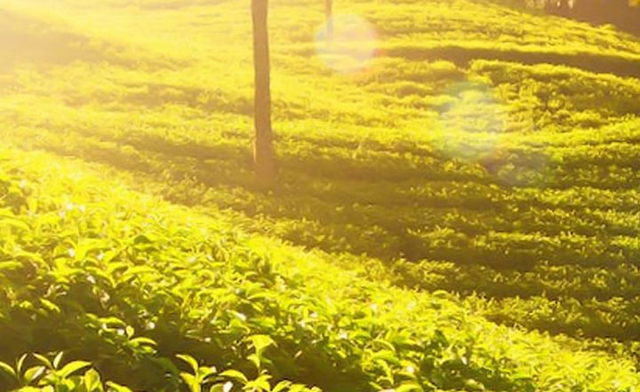 5 Must-Visit Indian Tourist Destinations for Best Travel Experience!