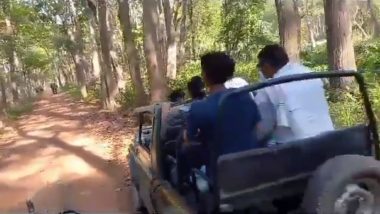 Elephants Attack Tourists in Uttar Pradesh Video: Wild Elephants Chase Away Tiger, Later Charge Towards Tourist Vehicles at Dudhwa National Park