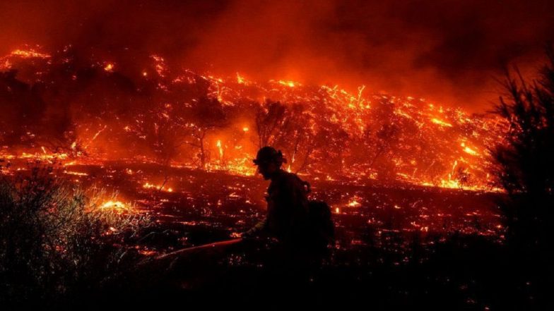 Wildfire in Hawaii: Fires Fanned by Strong Winds Towards Populated Areas Force Evacuations, Cause Power Outages in West Maui (Watch Video)