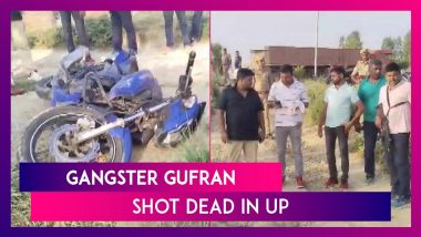 Gangster Gufran Shot Dead: Uttar Pradesh STF Guns Down Criminal In Encounter In Kaushambi District