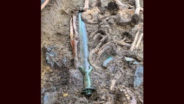 Germany: Archaeologists Discover Rare 3,000-Year-Old Sword in German Town of Nordlingen; Experts Say It Shines Despite Being in Grave of Three People (See Pics)