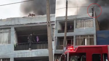 Man Saves Dogs From Burning Building in Peru Video: Homeless Colombian National Climbs Recycling Facility Engulfed in Flames, Rescues 25 Dogs Trapped on Roof