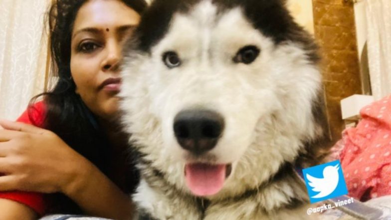 Missing VIP Pet Dog Found in UP: Meerut Commissioner Selva Kumari’s Missing Husky Named Eco Brought Back After 24 Hours