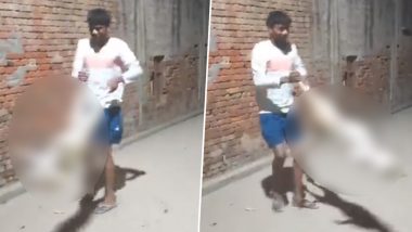 Man Swinging Dog in Meerut Video: Man Swings Canine Around by Its Legs, UP Police React to Disgusting Instagram Reel Going Viral on Social Media