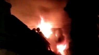 Mumbai Fire Video: Level 3 Blaze Breaks Out in Five-Storey Building in Jhaveri Bazar Area