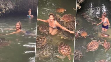 Pooja Batra Opts for Printed Bikini and Hot Shorts As She Swims With the Turtles on Her Tanzania Vacay (Watch Video)