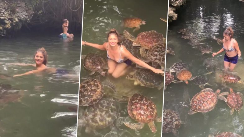 Pooja Batra Opts for Printed Bikini and Hot Shorts As She Swims With the Turtles on Her Tanzania Vacay (Watch Video)