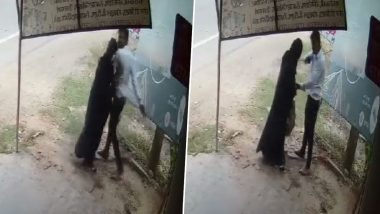 Raebareli Alleged Sex Racket Video: Man Beats Woman, Forces Her Into an Autorickshaw After She Allegedly Refuses His Sexual Demands