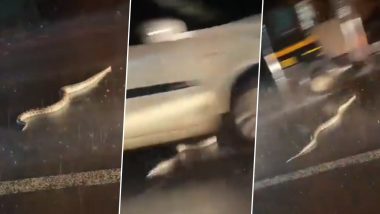 Giant Snake Crossing Road in Mumbai Rains Video Goes Viral, but Many Netizens Claim It To Be an Old Clip!