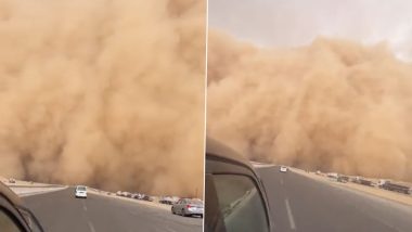 Sandstorm in Egypt Video: Massive Sandstorm Hits Suez Canal, One Killed and Several Others Injured