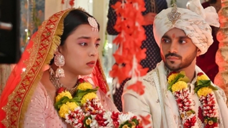 Devil Se Shaadi: Sumbul Toqueer Khan and Prateik Chaudhary to Play Married Couple in Upcoming Audio Series!