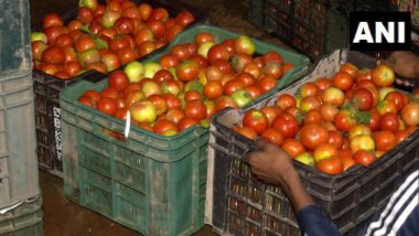 Tomato Price Touches Rs 170 Per Kg in Chennai; Rain in Andhra Pradesh and Karnataka Responsible for Price Rise of Vegetable