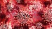 What Is HMPV, Respiratory Virus Spreading Across US? Know Symptoms, Precautions and Treatment for Human Metapneumovirus That Has No Vaccine Yet