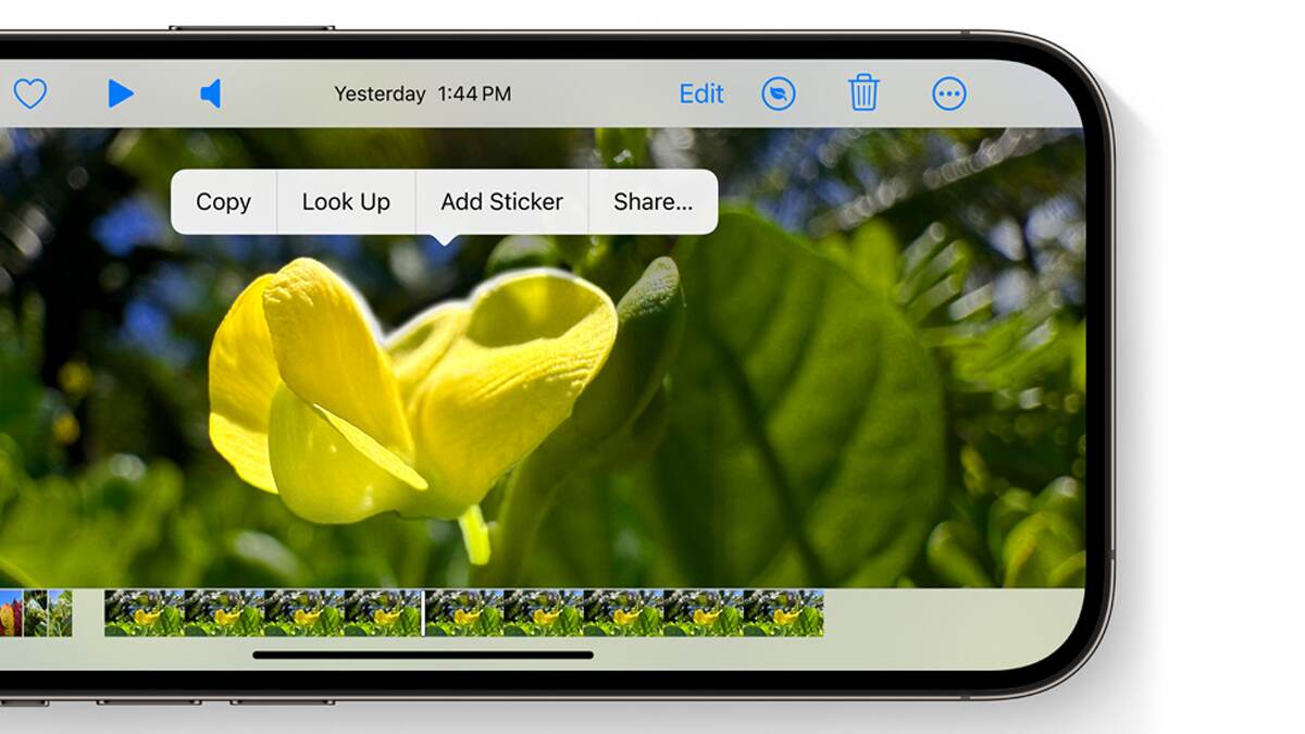 Apple iOS 17 Adds 'Look Up’ Option in Image Cutout Feature